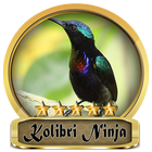 Hummingbirds Ninja Champion icon