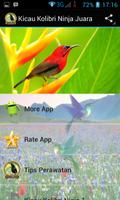 Hummingbirds Ninja Champion Affiche