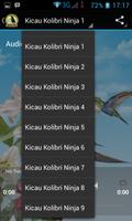 Kicau Kolibri Ninja Juara imagem de tela 2