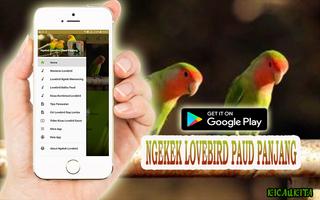 Ngekek Lovebird Paud Panjang capture d'écran 1