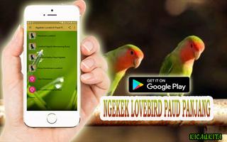 Ngekek Lovebird Paud Panjang اسکرین شاٹ 2