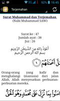 برنامه‌نما Surah Muhammad & Translation عکس از صفحه