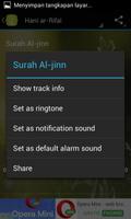 Surah Al-Jinn & Terjemahan screenshot 3