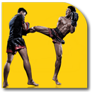 Kickboxing Techniques APK