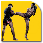 Kickboxing Techniques simgesi