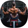 Back Exercises Guide