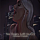 No Tears Left to Cry - Ariana Grande APK