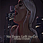 No Tears Left to Cry - Ariana Grande icon