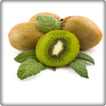 New Kiwi Fruit Onet Game