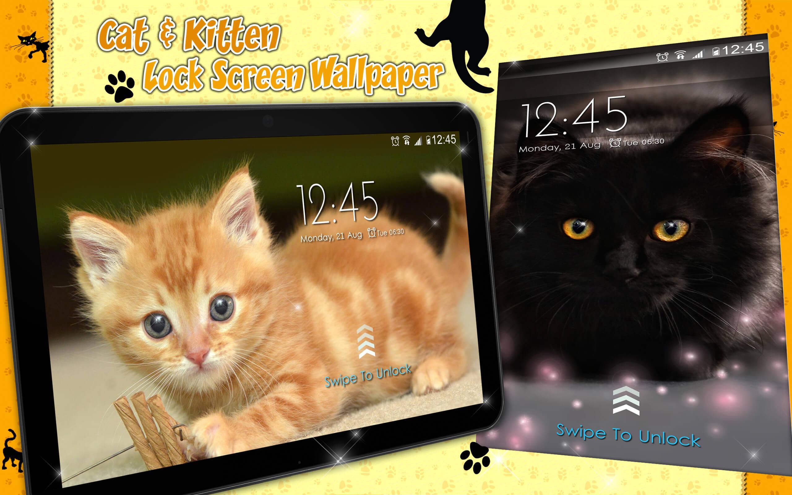 Kunci Layar Kucing Lucu Wallpaper Anak Kucing For Android APK