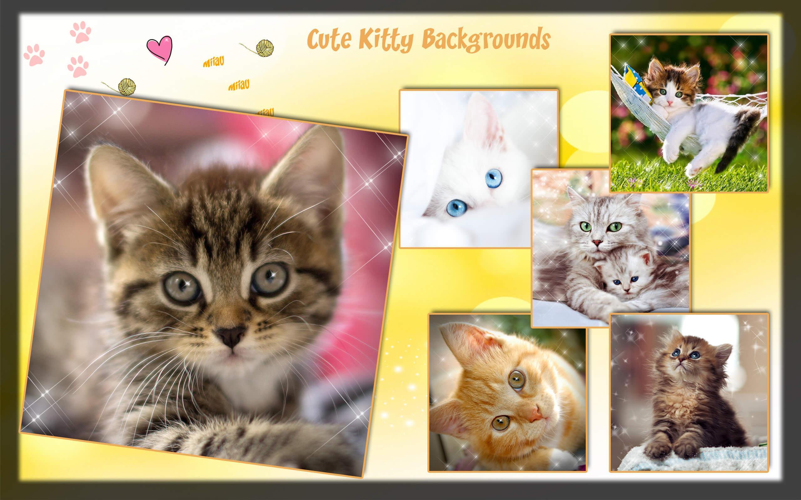 Kunci Layar Kucing Lucu Wallpaper Anak Kucing For Android APK