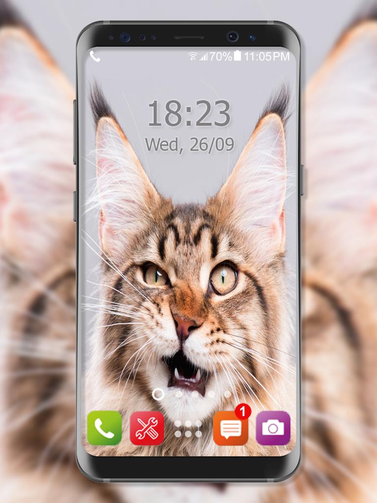 Lindo Gatito Gato Fondo De Pantalla For Android Apk Download - t#U00fa eliges roblox o minecraft nexus rob#U00f3tica