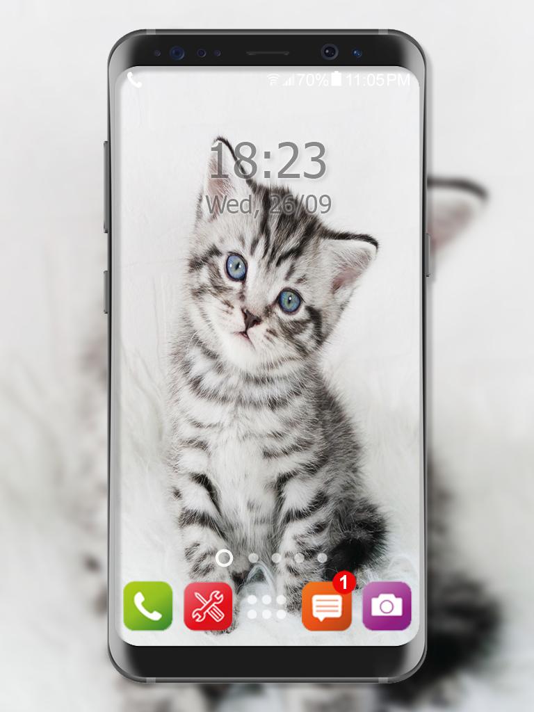 Lindo Gatito Gato Fondo De Pantalla For Android Apk Download - t#U00fa eliges roblox o minecraft nexus rob#U00f3tica