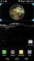 Anak Kucing Widget Jam screenshot 4