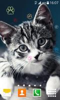 Kucing Gambar Animasi poster