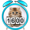Kitten Clock Weather Widget APK