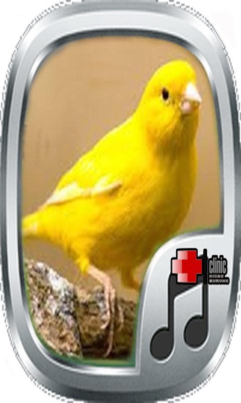 Canary 1.20 1 Canary 1.20 1