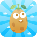 Fly Potato