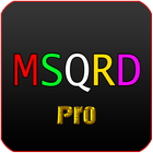 Guide : MSQRD Masquerade icon