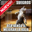 Imagenes locas APK