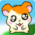 Hamster & Carrot