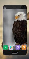 Wallpapers Eagle Image HD Affiche