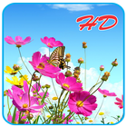 Wallpapers Flower Image HD أيقونة