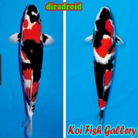 Koi Fish Gallery Affiche