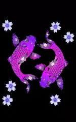 Koi Fish Live Wallpaper APK download