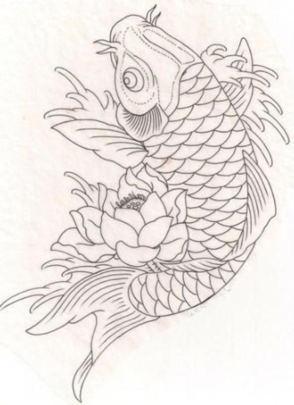 Wow 11 Gambar  Sket  Tato Ikan  Koi