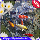Koi Fish Wallpaper HD APK
