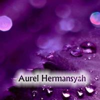Koleksi Aurel Hermansyah स्क्रीनशॉट 1