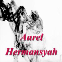 Koleksi Aurel Hermansyah स्क्रीनशॉट 3