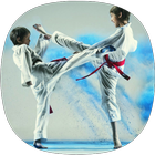 Taekwondo -gids-icoon
