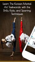 Taekwondo -gids-poster
