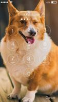 Corgi Dog App Lock imagem de tela 1