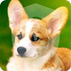 Cute Little Welsh Corgi Puppy Dog Lock Screen ikon