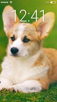 Cute Little Welsh Corgi Puppy Dog Lock Screen پوسٹر