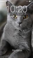 British Shorthair Cat Affiche