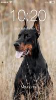 Doberman Pinscher Dog Puppy Lock Screen โปสเตอร์