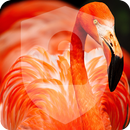 Exotic Tropical Bird  Pink Flamingo Lock Screen aplikacja