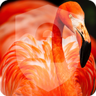 Exotic Tropical Bird  Pink Flamingo Lock Screen أيقونة