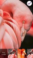 Exotic Tropical Bird  Pink Flamingo Lock Screen Affiche