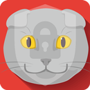 Scottish Fold  Cat Lock Screen APK