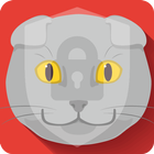 Scottish Fold  Cat Lock Screen icône