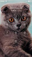 Scottish Fold  Cat Lock Screen تصوير الشاشة 1