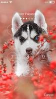 Siberian Funny Huski  Dog Puppy Lock Screen скриншот 1