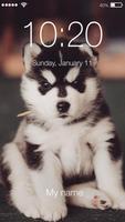 Siberian Funny Huski  Dog Puppy Lock Screen скриншот 2