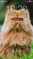 Puffy Cute Persian Cat Kitten App Lock Affiche