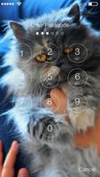 Puffy Cute Persian Cat Kitten App Lock syot layar 1